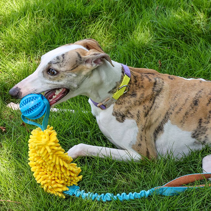 Direct factory dog Rope Toys for chew Training bungee tough rope for Tug of War Dog Toys