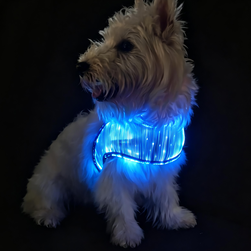 Arnés para perros ajustable y cómodo antitirones de primera calidad, conjunto de arnés para perros con logotipo personalizado, arnés para perros personalizado, accesorios para mascotas