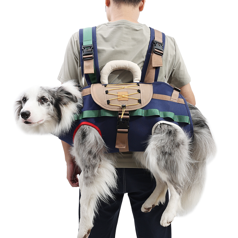Vente chaude grande capacité chien sac à dos transporteur animaux de compagnie et produits de voyage sac de transport de chien pour une utilisation en extérieur