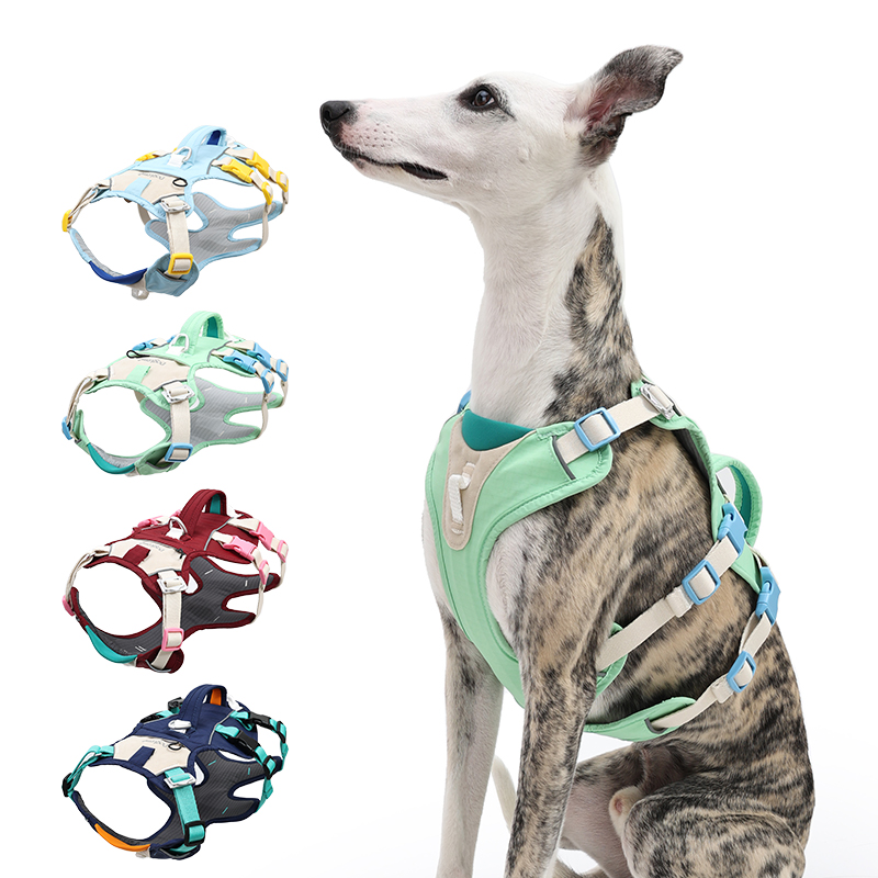 Doglemi Pet Accessoires Six Points de Réglage No-Escape Harnais Confortable Facile à Utiliser Réglable Chien Harnais