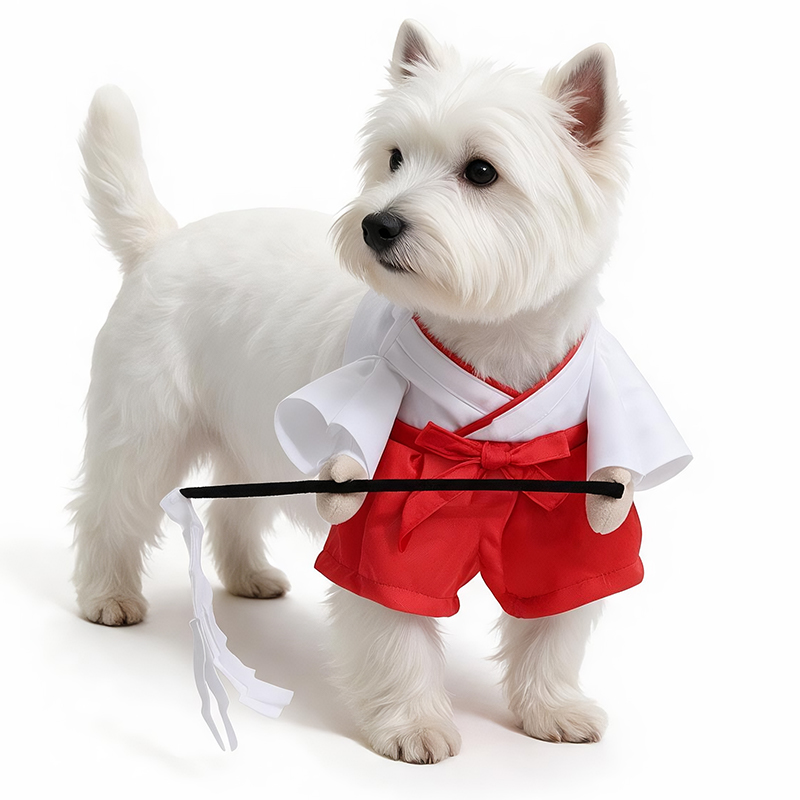 Nuevo diseño, ropa suave y agradable para la piel, fácil de limpiar, disfraz de bruja de Halloween para mascotas, disfraces de Navidad para mascotas