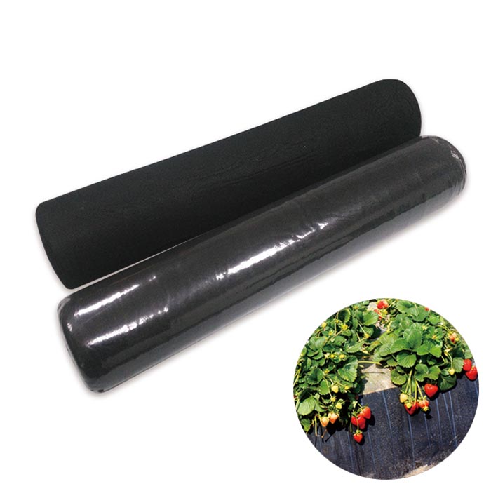 China Nonwoven Weed Mat Manufacturer Non Woven Ground Cover Vegetable Garden Weed Barrier Anti UV Fabric manufacturer