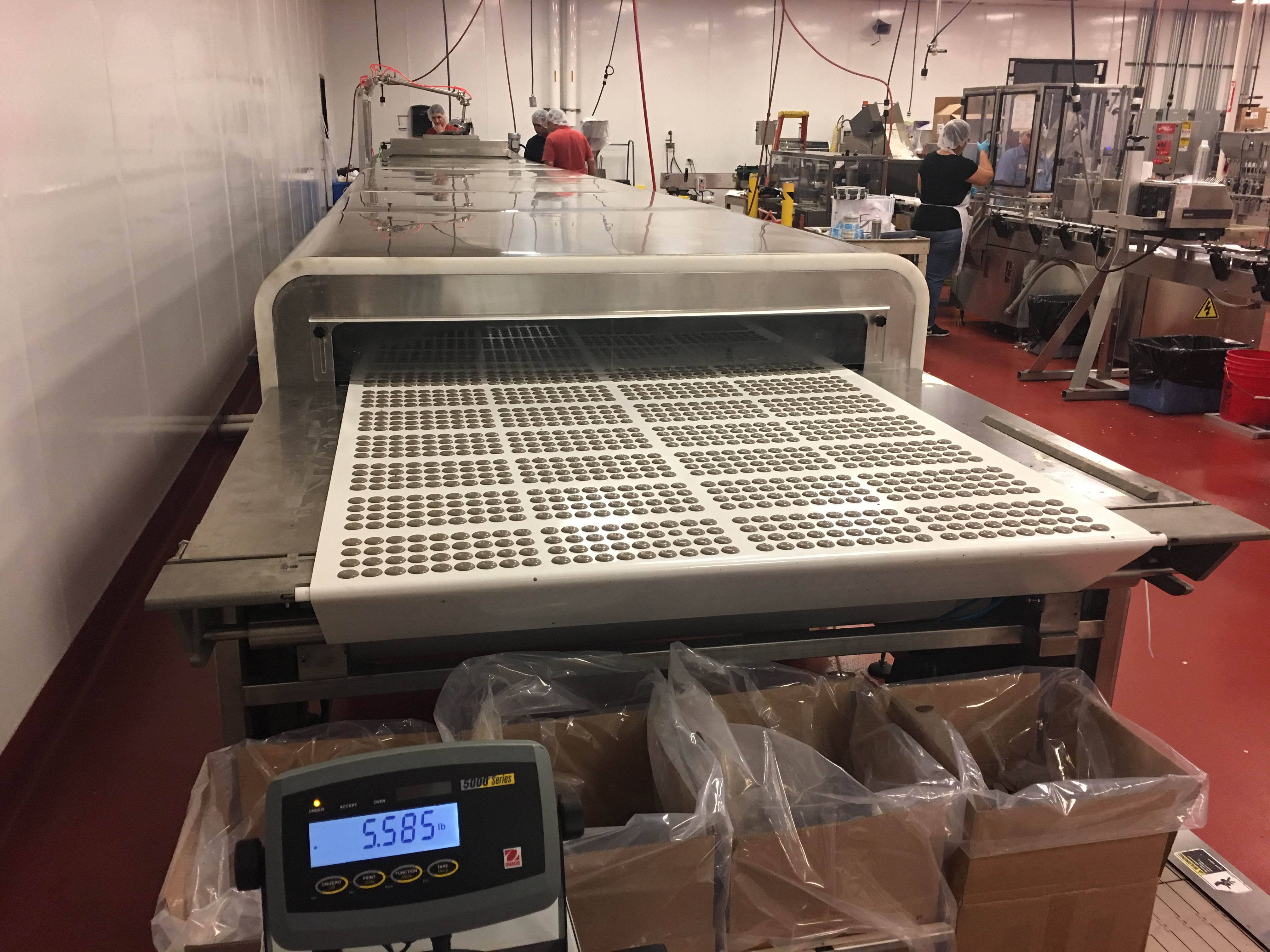 价格合理的 AMC 食品冷却隧道