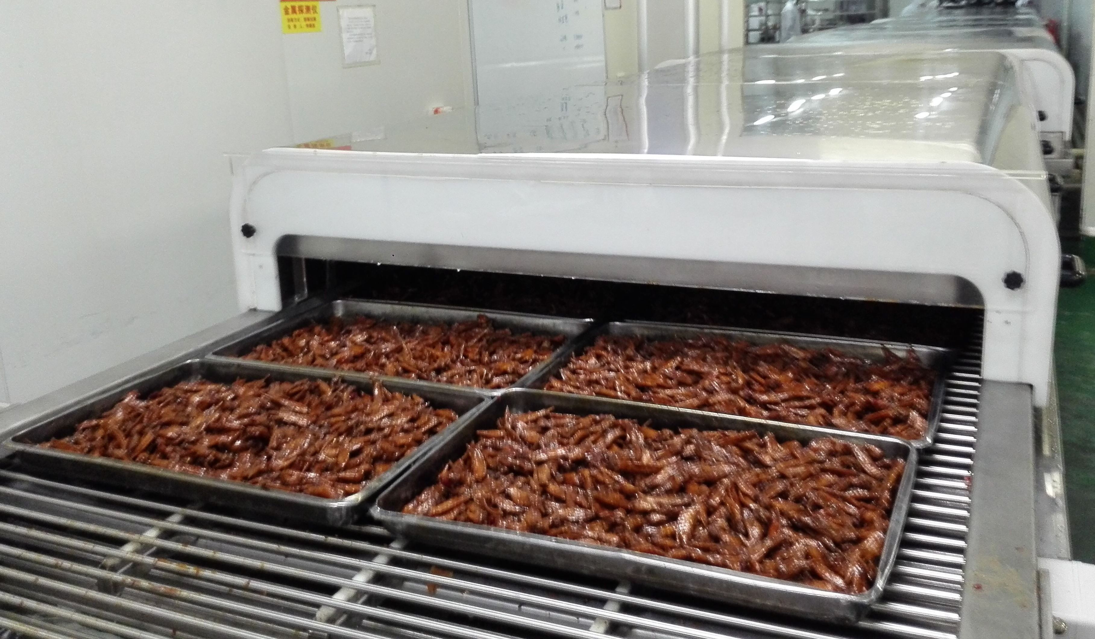 冷却和冷冻输送机 食品钢带