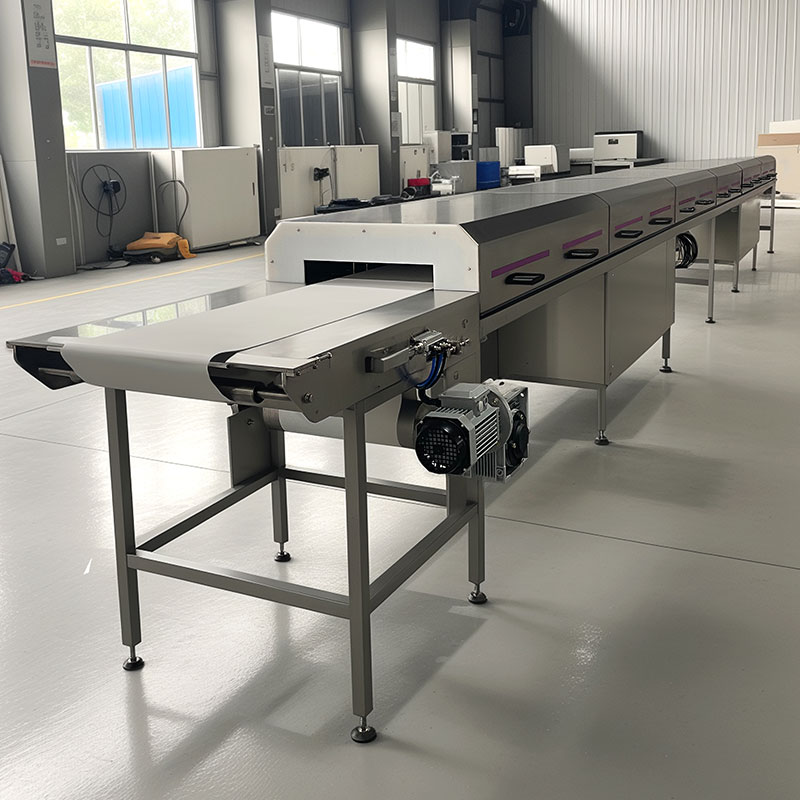 Cibo di acciaio inossidabile automatico personalizzato piccolo tunnel di raffreddamento per macchina al cioccolato