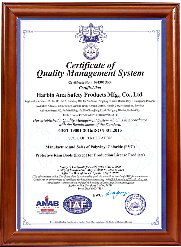 中国 证书展示 制造商