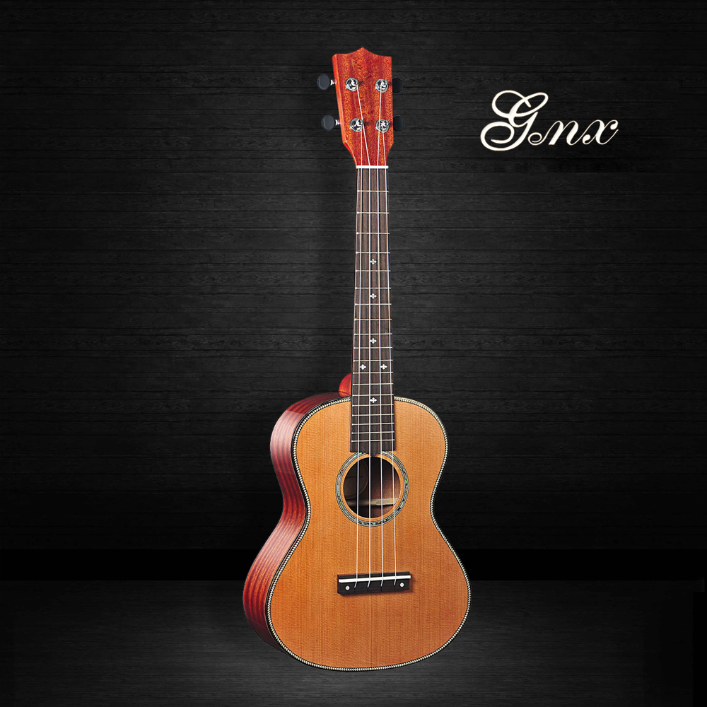 Mahogany Soprano Ukulele Bundle with Gig Bag, Austin Bazaar Instructional