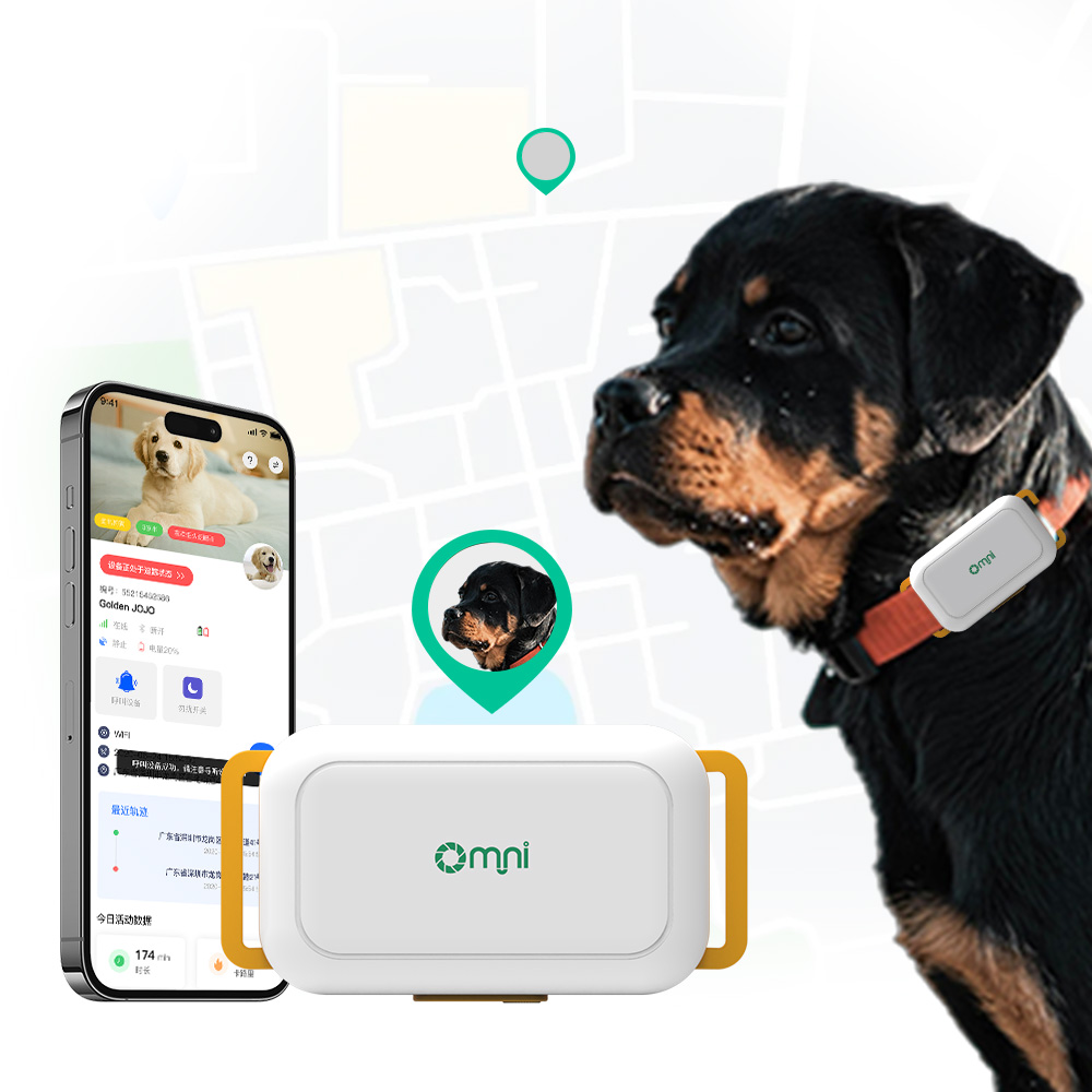 التغطية العالمية لتعقب الكلاب عبر نظام تحديد المواقع العالمي (GPS) لمكافحة فقدان الحيوانات الأليفة