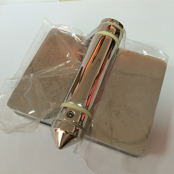 Charnières de porte verre inox ½\" pour les dessins et modèles du garde-corps verre extérieur clôture piscine