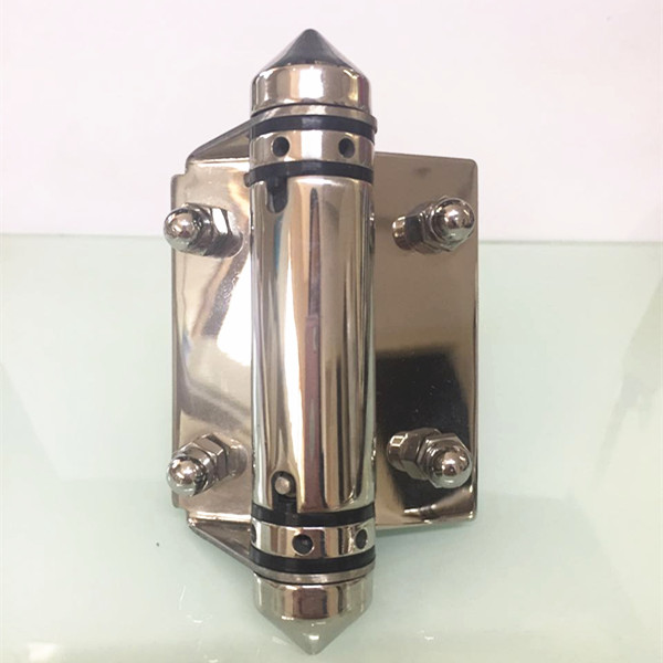 cheap price spring hinge for swimming pool fencing