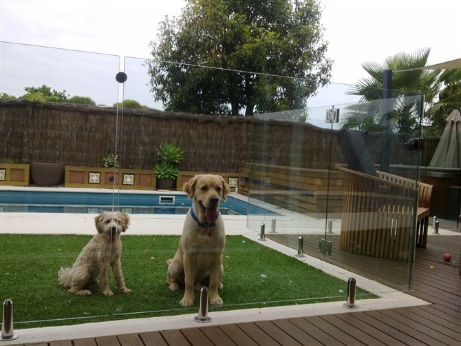 تصميم عصري الفولاذ المقاوم للصدأ والزجاج حنفية حديدي