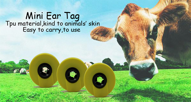 rfid ear tag