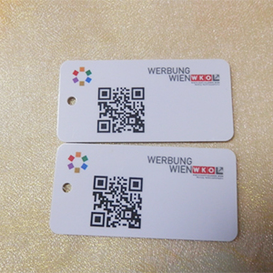 NXP Mifare S50 personalizzato Tag NFC PVC duro con foro perforato
