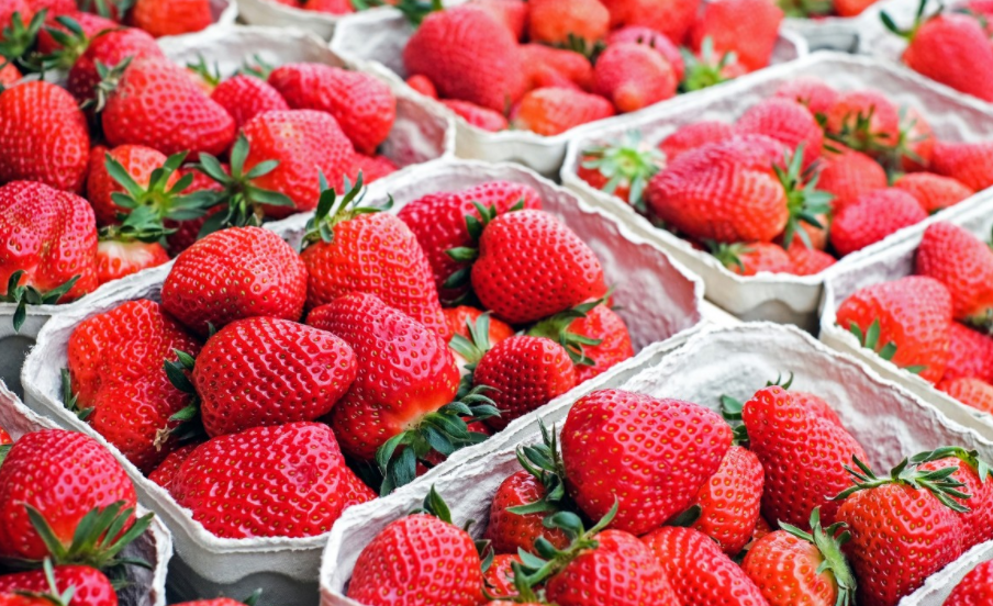 China Japanese strawberry factory has adopted RFID sensor tag temperature control system manufacturer