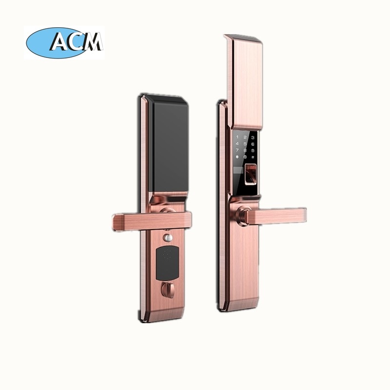 Biometric hotel door lock fingerprint lock for home apartment
