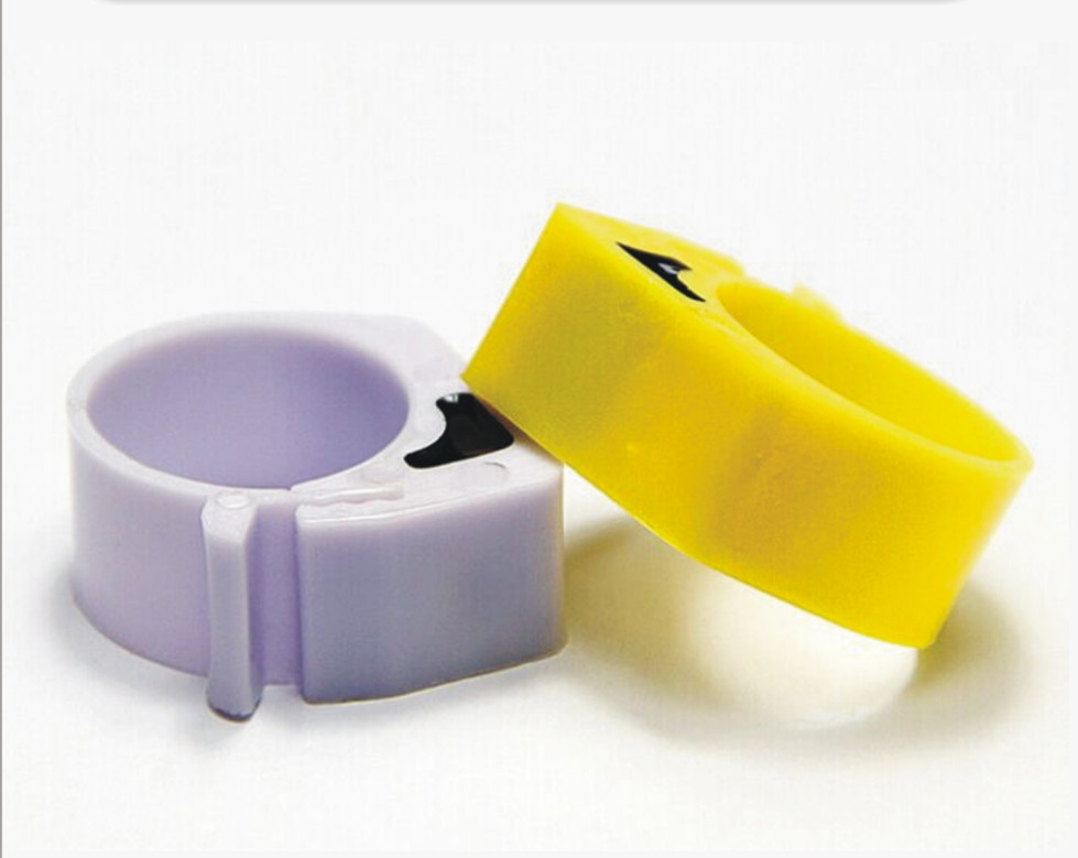 China rfid animal ring tags carrier pigeon ring tag na may customized na kulay para sa pagsubaybay sa kalapati