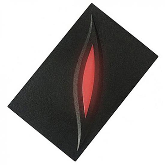 Rfid Proximity Reader For Doors