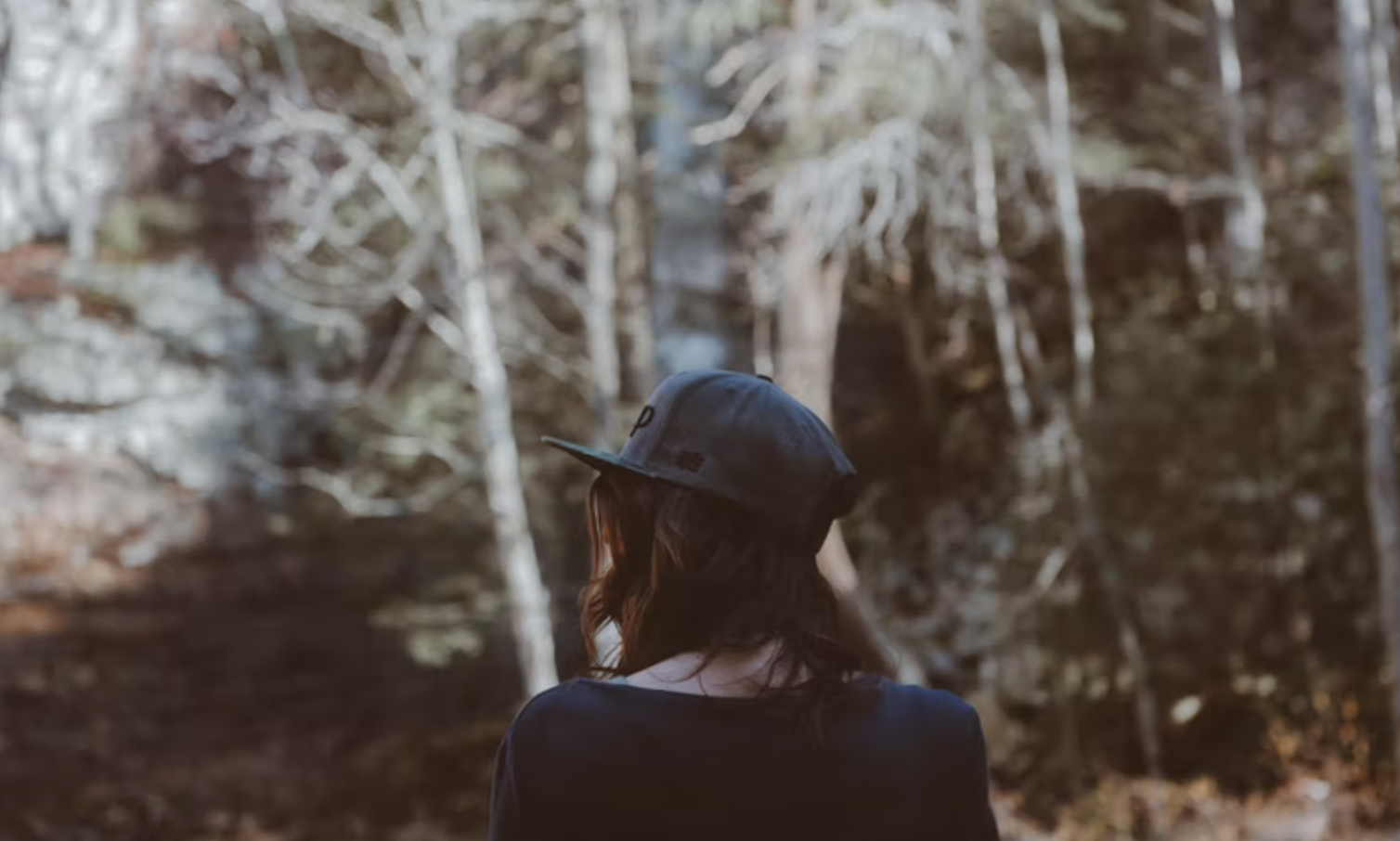 雪地里有人在森林里描述已自动生成