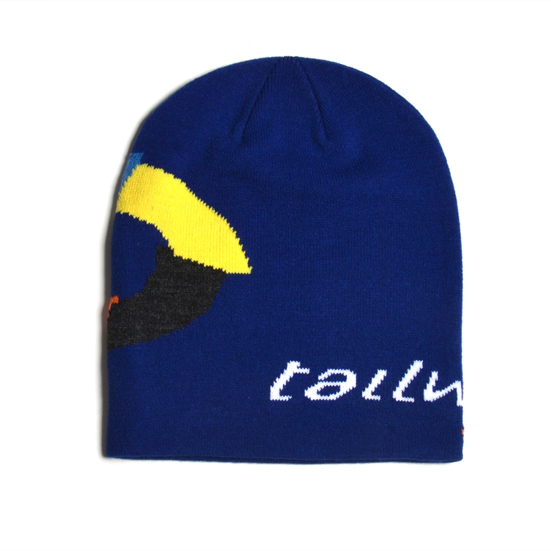 fashion winter hats, custom winter hats cheap, the popular brands winter hats