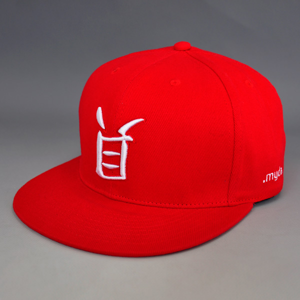 3D embroidery leather strap snapback hats