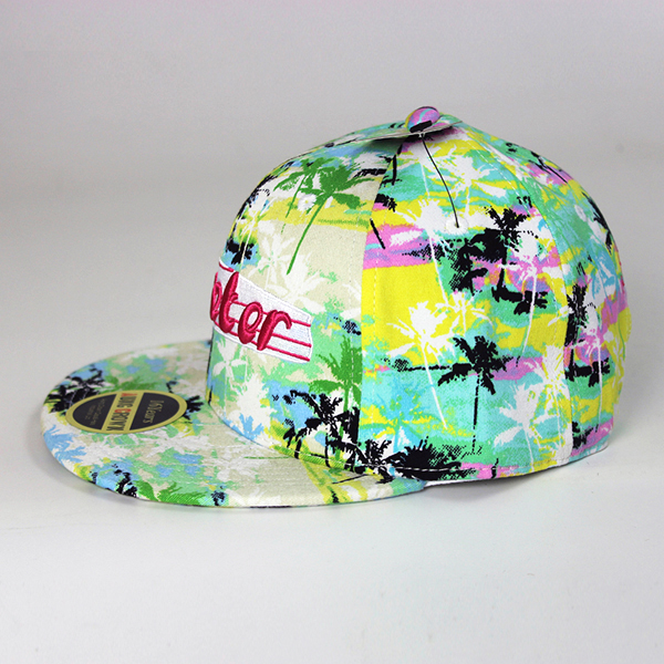 Custom 3d brand names cap with logo