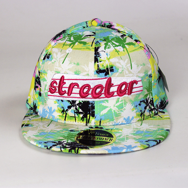 Custom 3d brand names cap with logo