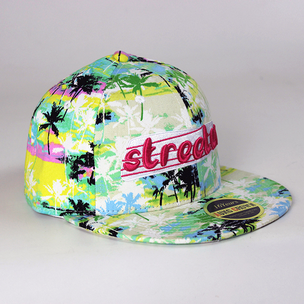 Custom 3d brand names cap with logo