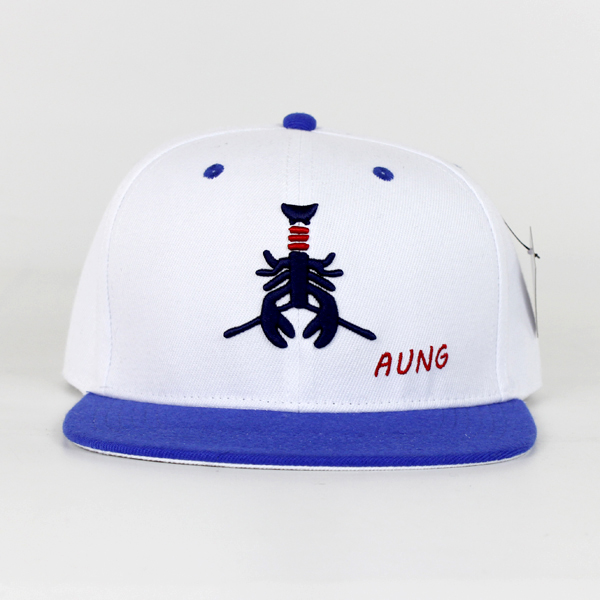 custom flat bill snapback cap, custom embroidery snapback cap