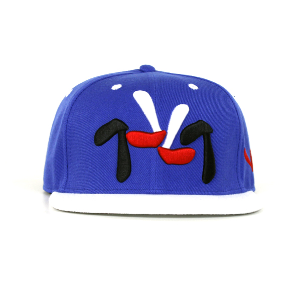 wholesale custom embroidery flat brim snapback cap
