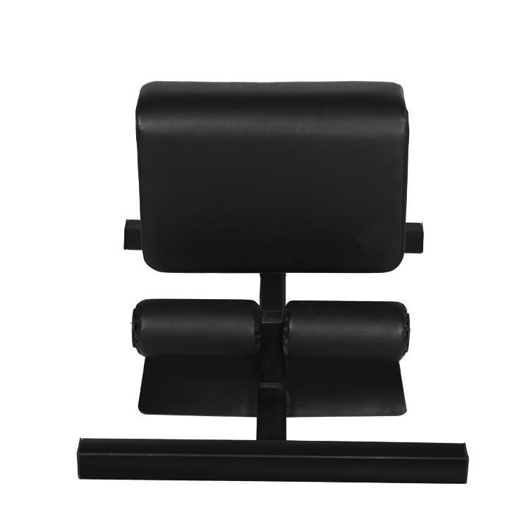 Chiny Bodybuilding sissy squat from China factory producent