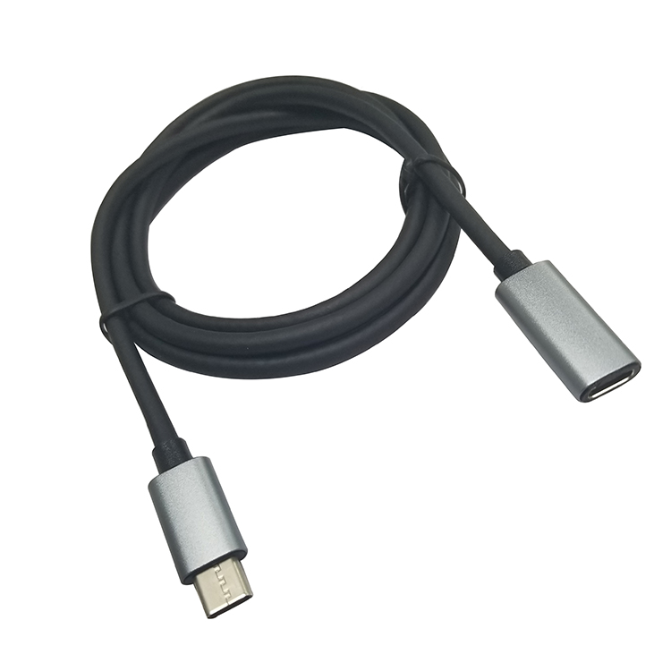 Cavo di prolunga USB 3.1 tipo c maschio a femmina connettore argento 2 M