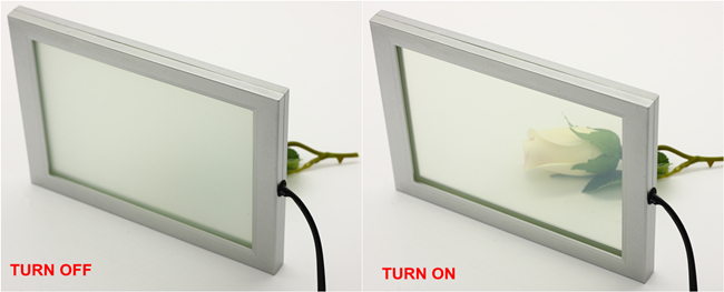 switchable smart glass
