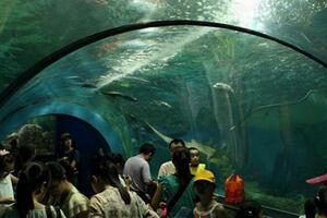 Shenzhen Xiaomeisha Sea World Shenzhen Xiaomeisha Sea World