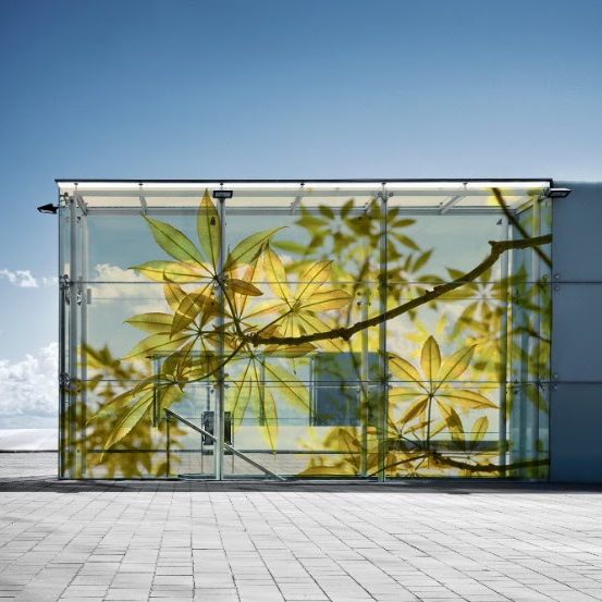 Professional factory for digital glass printing, glass door digital, glass digital photo frame.