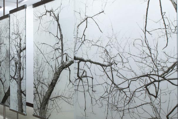 ارتفاع بكسل شاشة الطباعة الرقمية زجاج VS الحرير المطبوع الزجاج