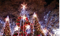 How to spend your holiday in Christmas’day How to spend your holiday in Christmas’day