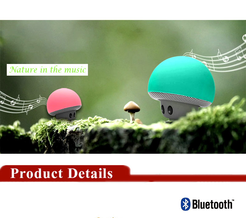 Wireless Bluetooth Speaker 