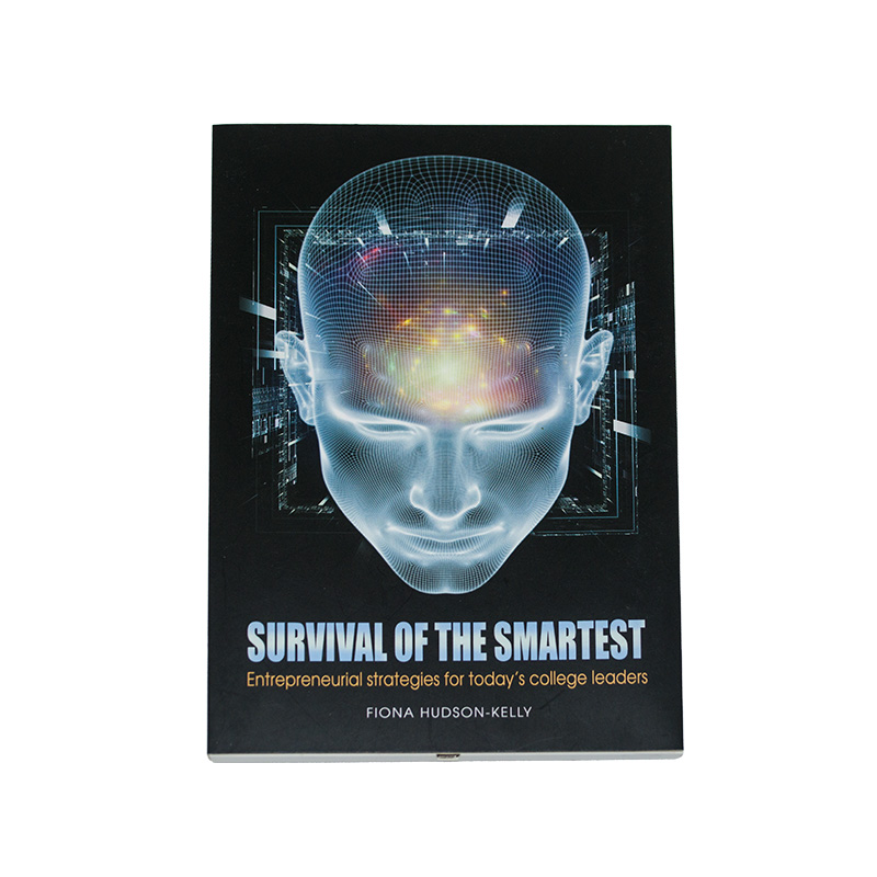 4.3 inch Video Booklets EH0038