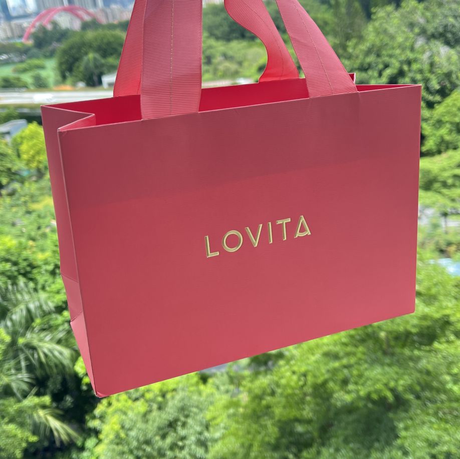 Fancy paper Chirstmas gift accessory jewelry shopping packaging ribbon bag