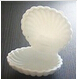 Fashion design shell-shaped white jewelry box