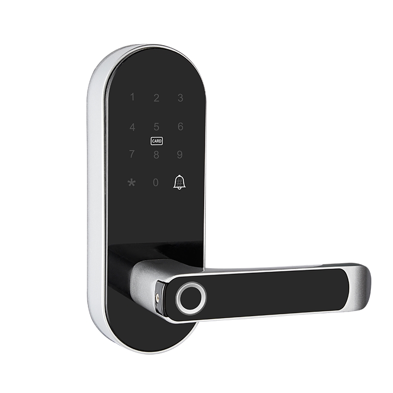 China Fingerprint Electronic Handle Lock TTLOCK Smart Home Door Lock Biometric Password Lock For Wooden Door With Card Reader