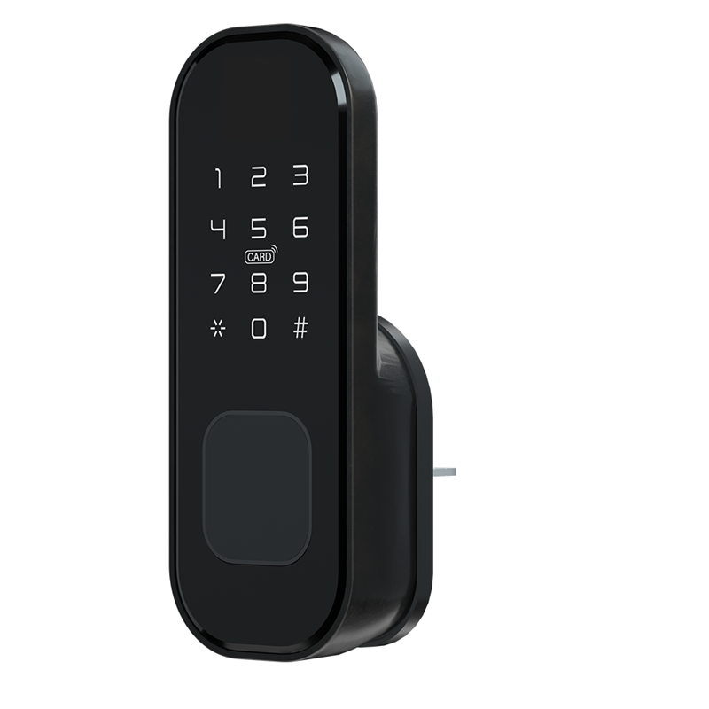 Factory WiFi APP Biometric Fingerprint Waterproof Keyless RFID Rim Door Lock China Made