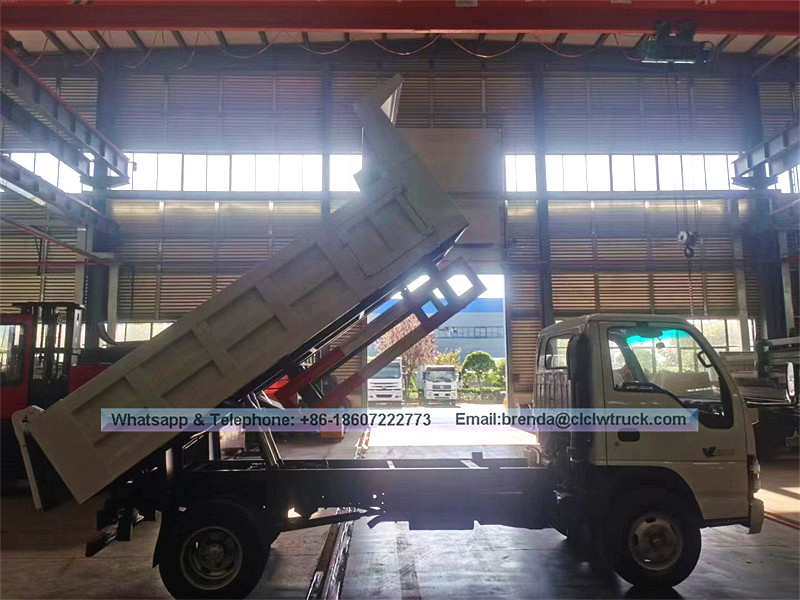 العلامة التجارية الجديدة اليابان Isuzu 4x2 2 طن - 6 طن شاحنة مكب صغيرة للبيع