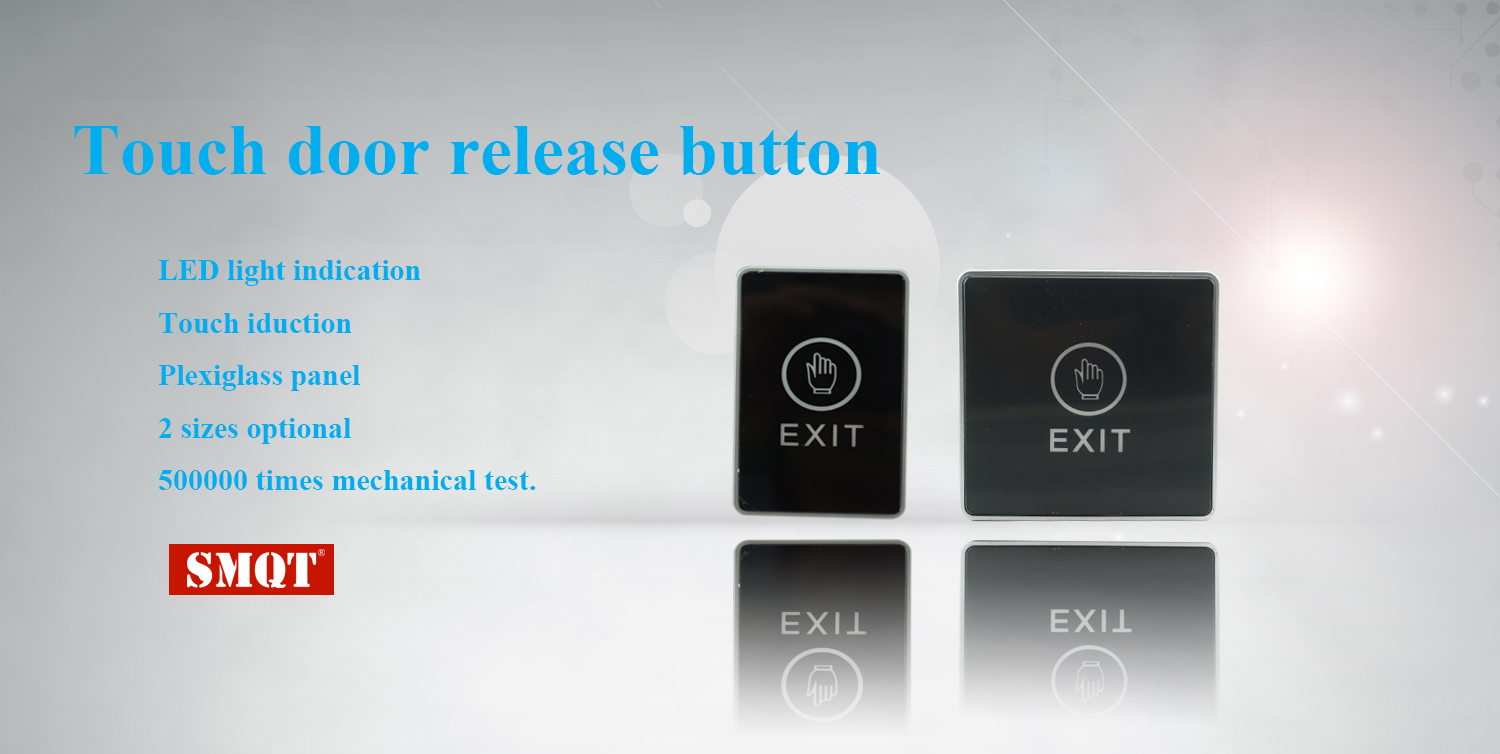 LED back light door switch button