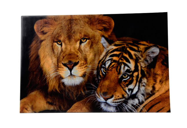 Ceramic Tile for UV Printing