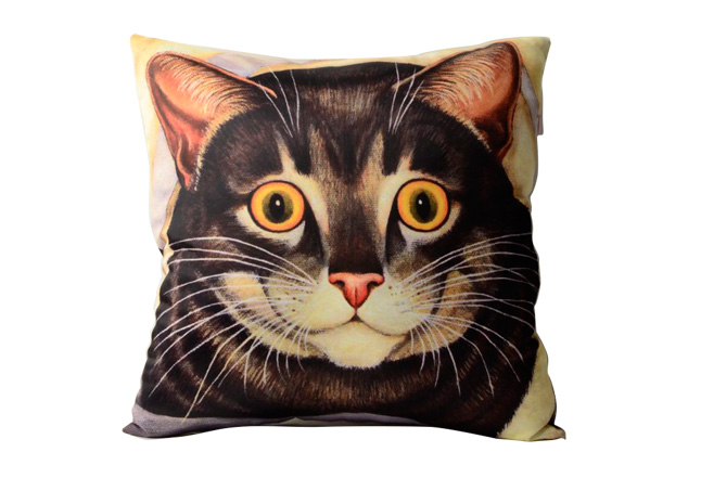 Pillow Cover