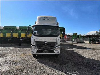 FOTON STURDY BODYS 4X2 Cargo Camión de carga proveedor en China