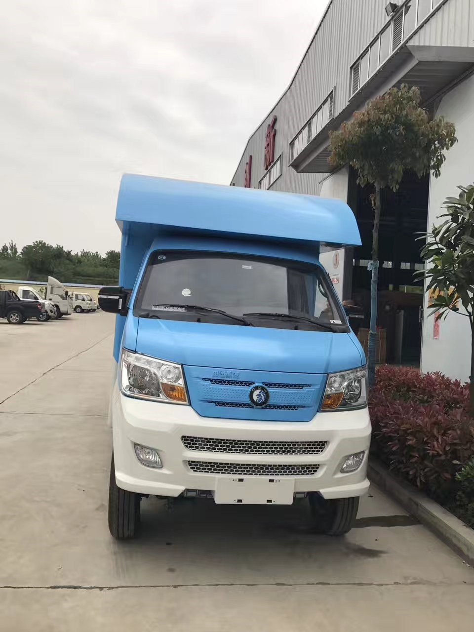 迷你移动冰淇淋机卡车厂