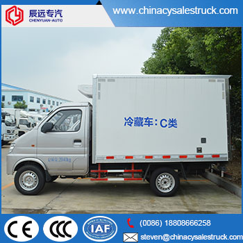 Maliit na snow ice truck supplier sa china