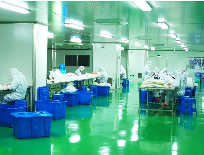 Face mask Dustfree Workshop